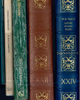 Lotto 5 libri Letteratura Straniera (Ed. in Pelle)