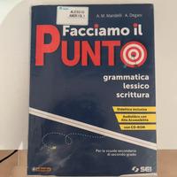 Libro facciamo il punto