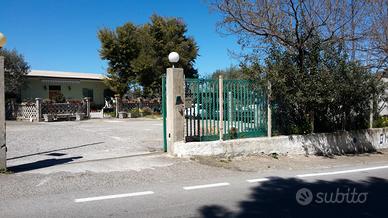 RGE 93/2015 Trib Patti - LOTTO 2