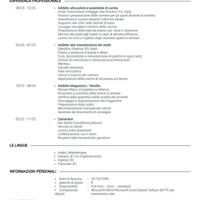 Cameriere ai piani, lavapiatti, facchino