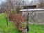 Immagine 21