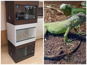 Iguana verde+terrario+lampada+substrato