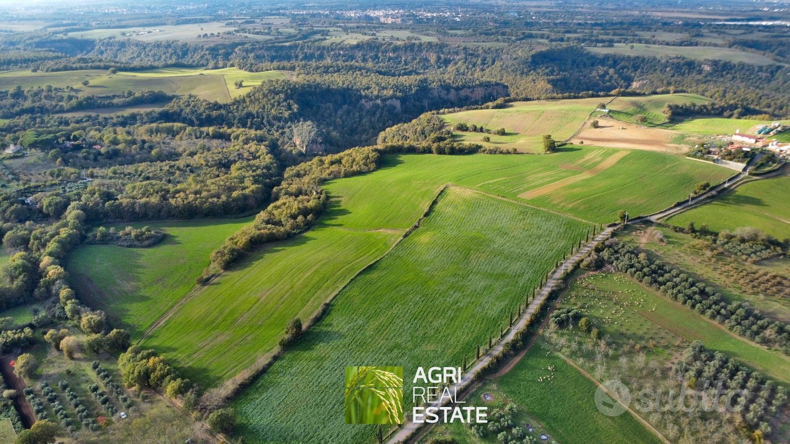 Terreno agricolo 18 ettari con fabbricato diruto - Vista 2