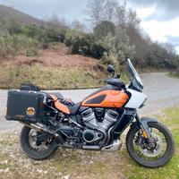 Harley Davidson Panamerica 1250 Special