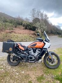 Harley Davidson Panamerica 1250 Special