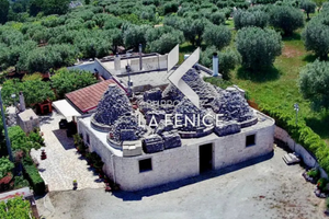 Immobile più 7 coni(vito 3490577837)