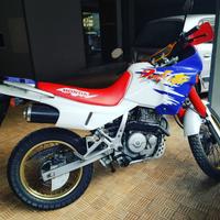 Honda Nx Dominator 650 1995