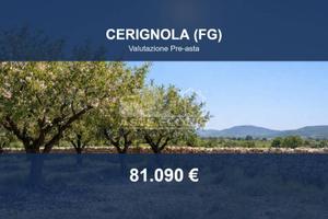 Immobile in asta di 106796 m² a Cerignola