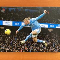 Quadro di Erling Haaland