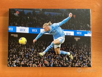 Quadro di Erling Haaland