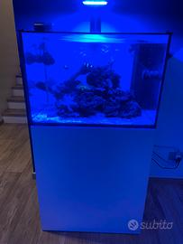 Acquario marino completo