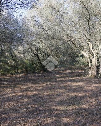 TER. RESIDENZIALE A TERNI