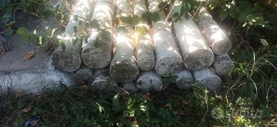 pali cemento sezione tonda
