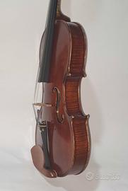 Vecchia Viola 