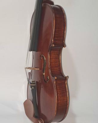 Vecchia Viola 