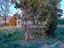 Immagine 23