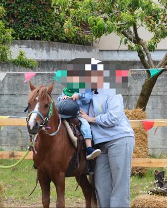 pony castrone 