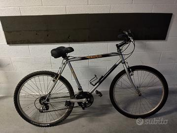 bicicletta 