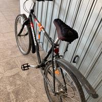 Bicicletta Legnago
