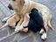 Immagine 1