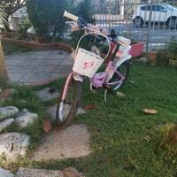 Bicicletta bambina