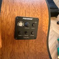 Basso acustico elettrificato Cort + custodia