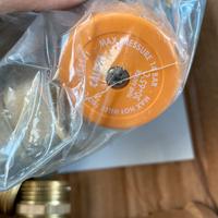 Valvola termostatica.