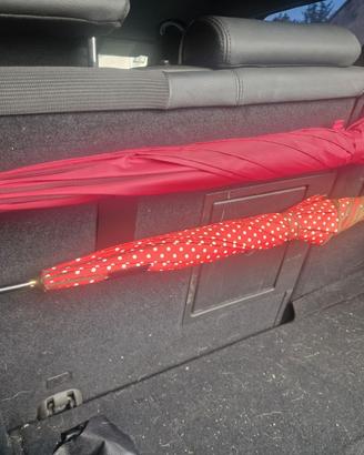 Portaombrelli baule auto