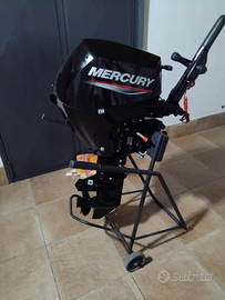 Motore mercury 20 cv