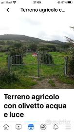 Terreno agricolo