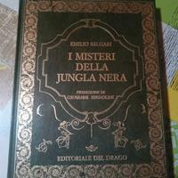 I misteri della jungla nera