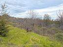 rustico-con-terreno