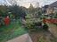Immagine 26