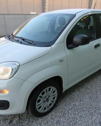FIAT Panda 1.2 Easy S&S 1200 C.C.