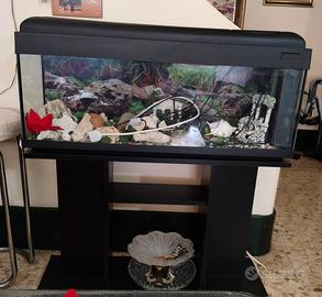 Acquario con mobiletto