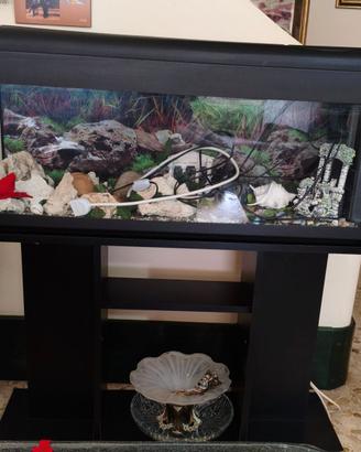 Acquario con mobiletto