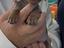 Immagine 2