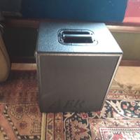 Amplificatore Aer domino