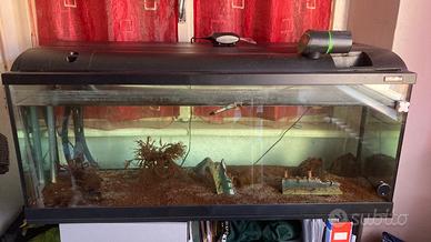 Acquario L 120 h 40 p 40