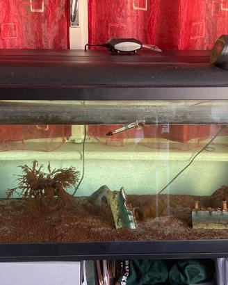 Acquario L 120 h 40 p 40