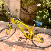 mountain bike Hogan KS24-FS