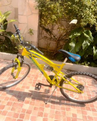 mountain bike Hogan KS24-FS