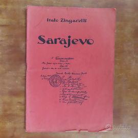 Zingarelli Sarajevo 1 guerra mondiale (523)