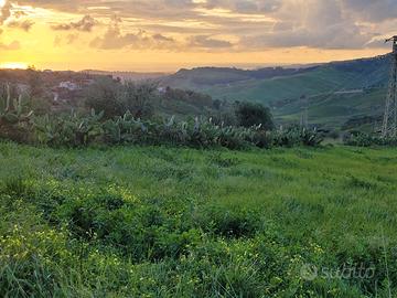 Progetto villetta con terreno zona sp3 corcca