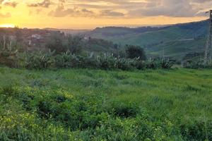 Progetto villetta con terreno zona sp3 corcca