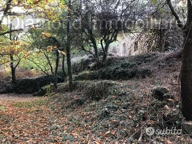 Terreno 20.000mq con fabbricato a Piedimonte Etneo - Vista 3