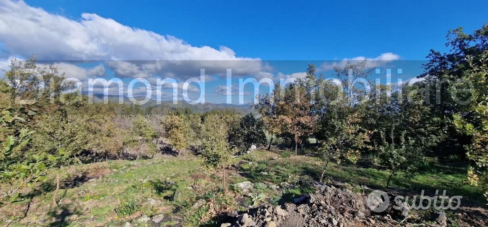 Terreno 3000mq panoramico con rudere a Presa - Vista 3