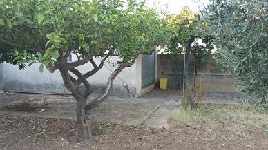 Terre