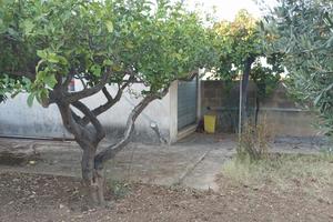 Terre