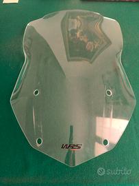 Cupolino  WRS per Gs